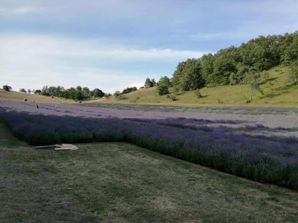 B&B I Girasoli Monte San Pietro Exteriér fotografie
